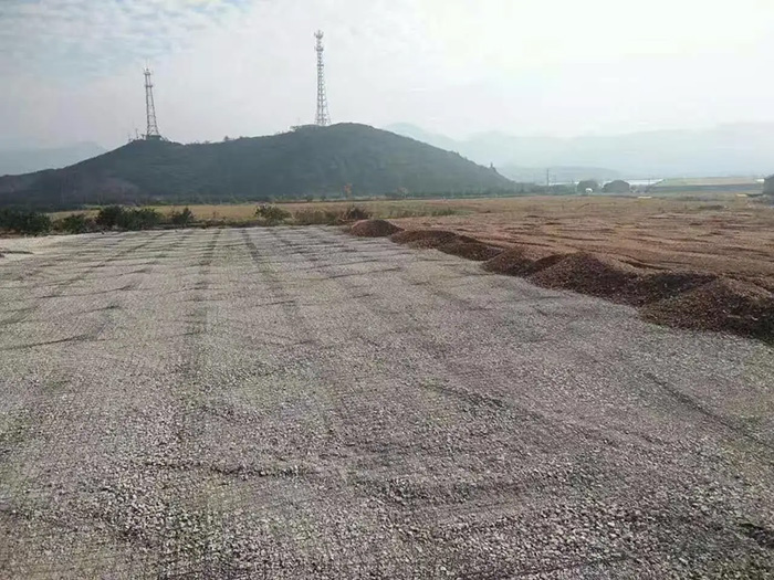 钢丝格栅案例